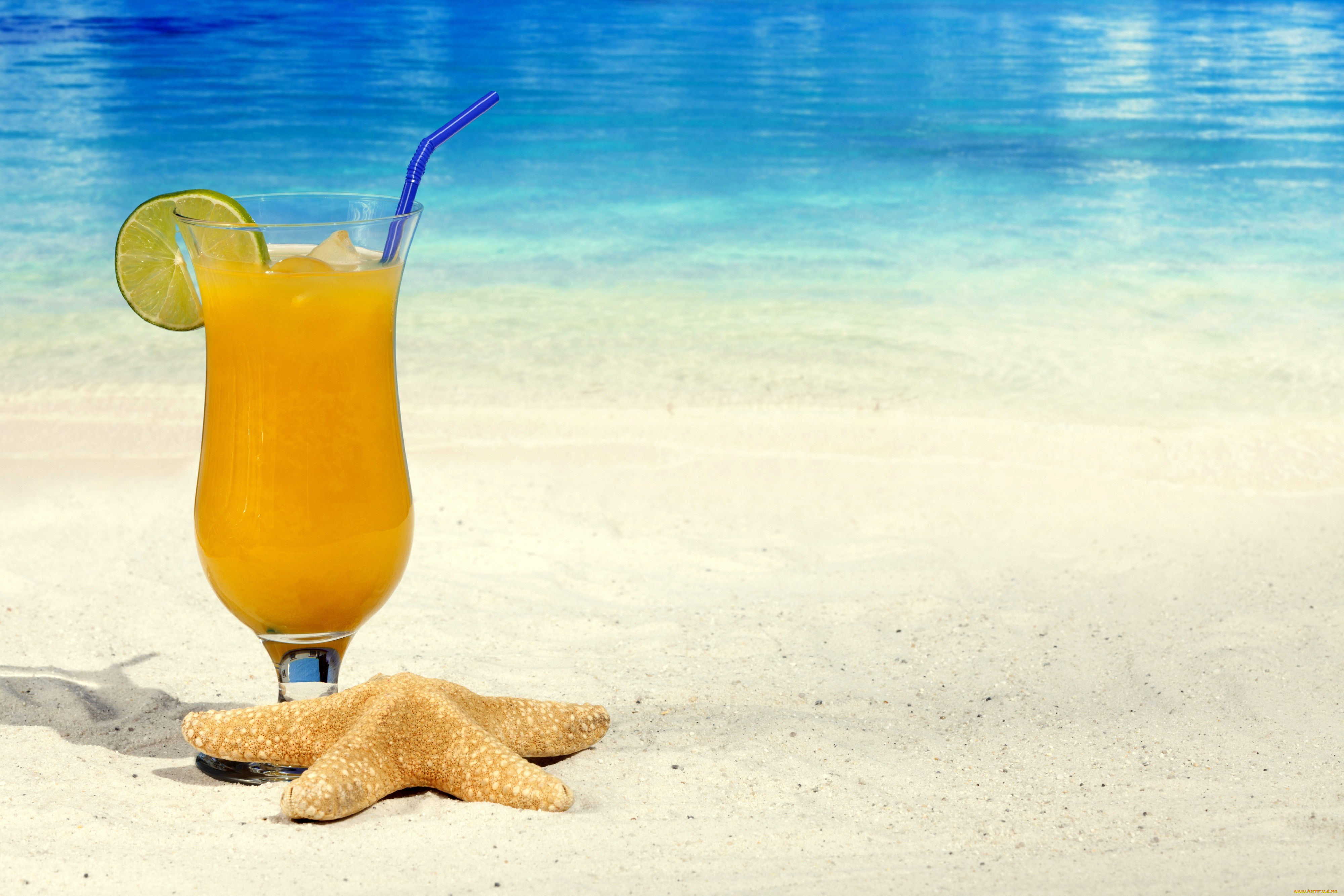 , ,  , summer, starfish, fresh, cocktail, drink, sand, fruit, beach, tropical, orange